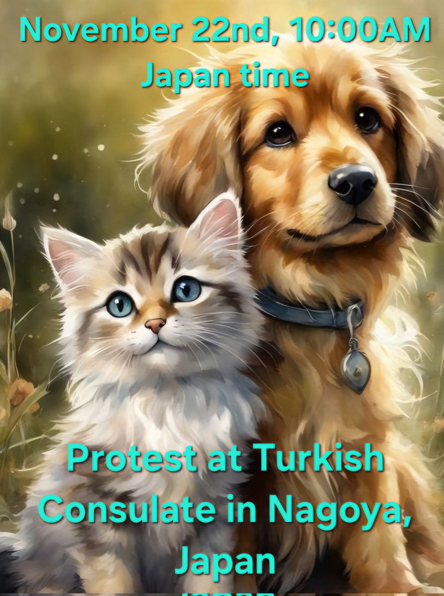 kiryuukannon040's tweet photo. #Turkey　#RTErdogan
#DogKiller　#CatKiller
#TurkishGovernment
#BoycottTurkey https://t.co/2AR5gAq6WC