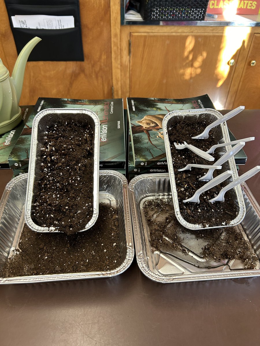 Ms. Costelloe tweet media