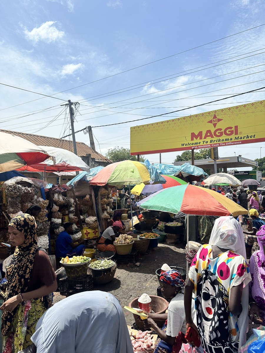 🇬🇲Discover the soul of The Gambia with us -where every adventure immerses you in vibrant culture, stunning scenery, and rich traditions that make every moment unforgettable.