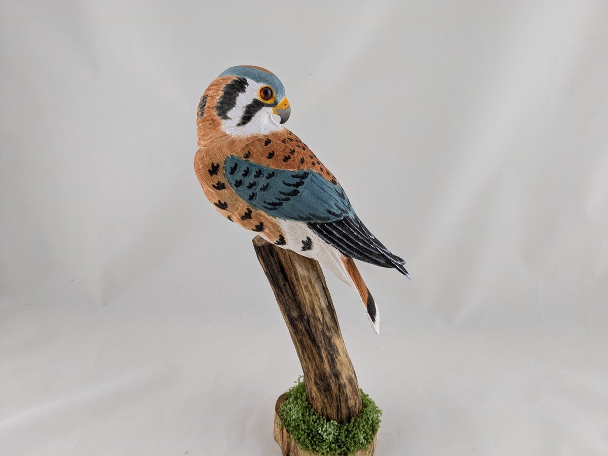 StPirovski's tweet photo. American Kestrel wood carving
https://t.co/3Ad1tsJhxW https://t.co/uBZTLI4M0r