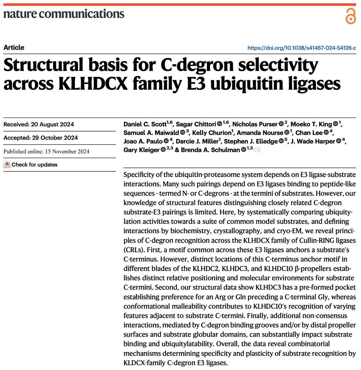 SagarChittori's tweet image. Thrilled to support #cryoEM research at @StJudeStructBio @StJudeResearch, I teamed up with
@Daniel_C_Scott and #SchulmanLab @MPI_Biochem in this beautiful work to uncover the structural basis of C degron selectivity in KLHDCX family E3 ubiquitin ligases 👉 rdcu.be/d0q6Y