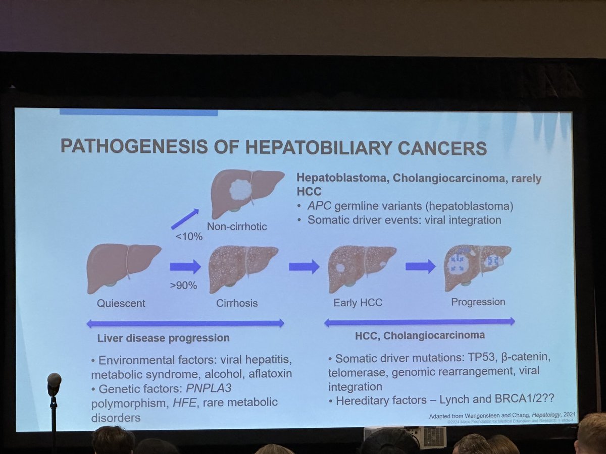 CGAIGC's tweet photo. Hepatobiliary cancers: germline genetic associations- great talk by ⁦@KirkWangensteen⁩ #CGAIGC24 https://t.co/u7hEDTj22k