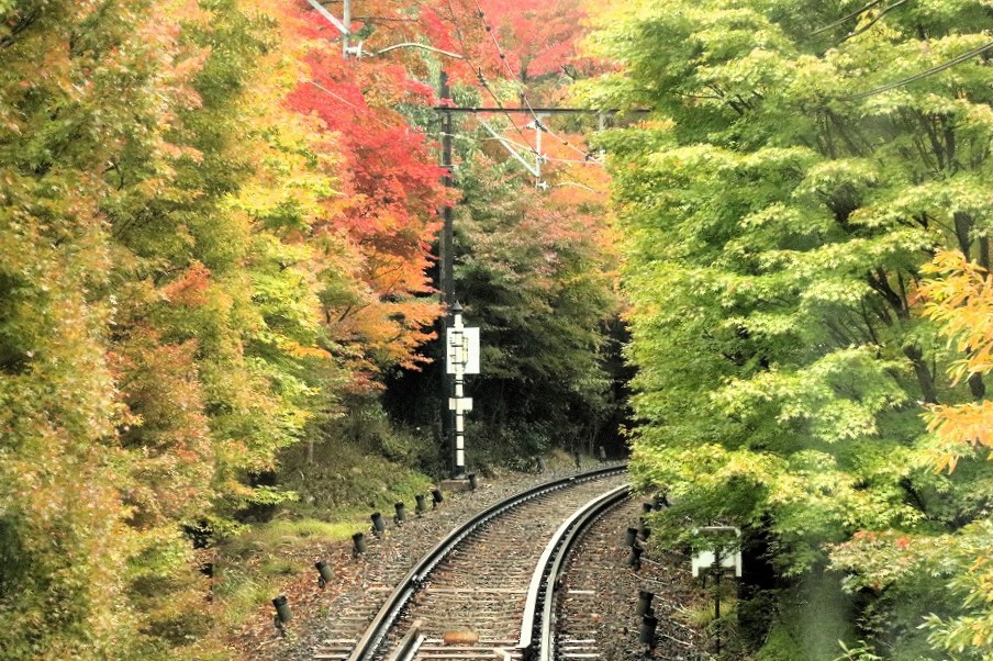 eizandensha's tweet photo. 今日の「もみじのトンネル」と二ノ瀬駅です。
（2024年11月16日撮影）

#叡電 #叡山電車 #紅葉 #京都 #kyoto https://t.co/HYPiQGIsnd