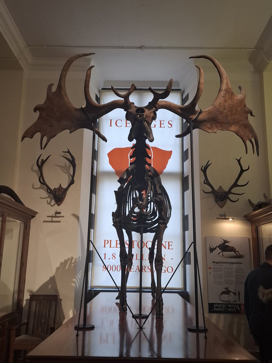 Dropped into someone elses #museum #Cambridge