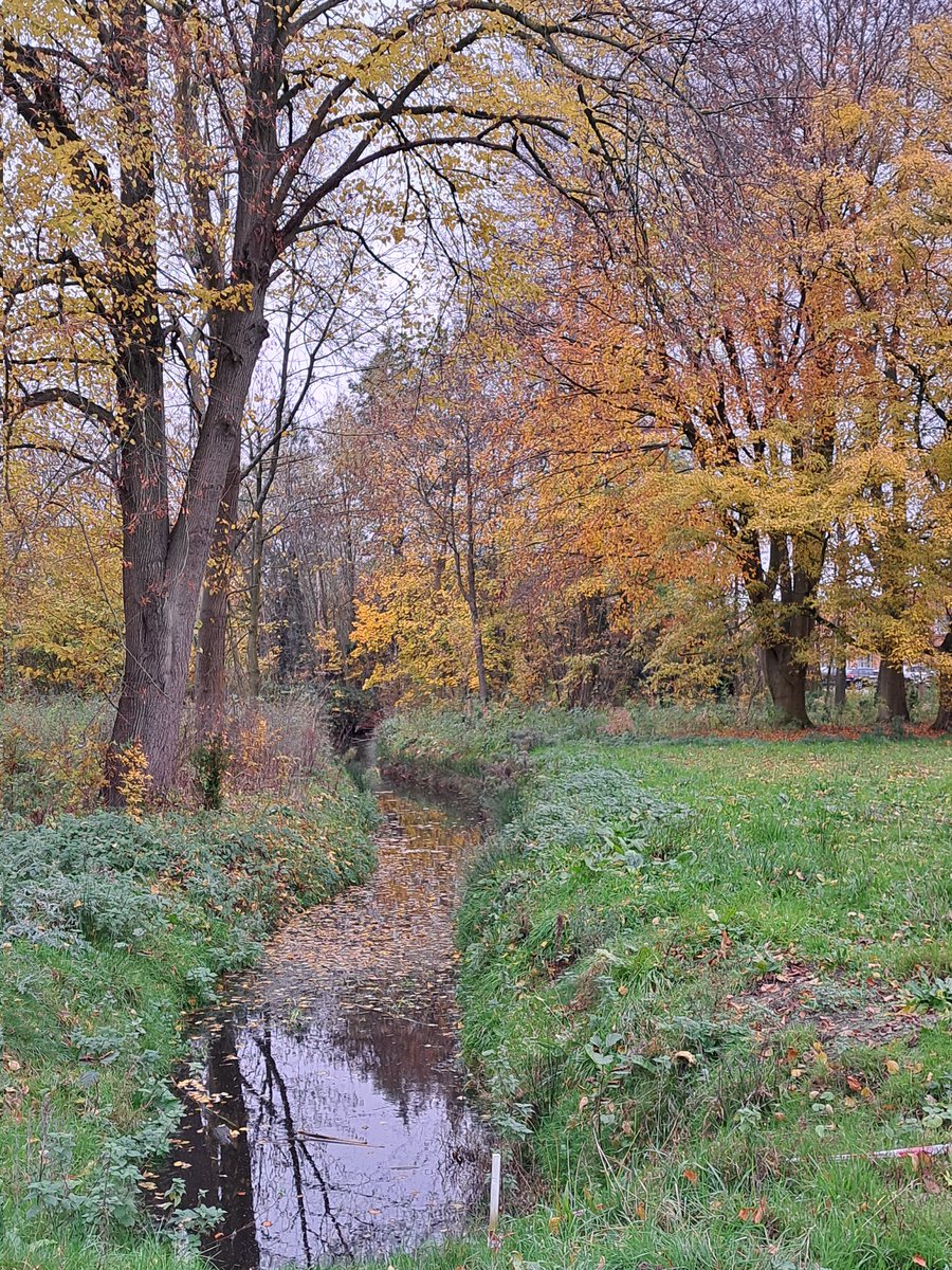 Still #autumn colours in the #nature.