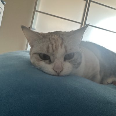 #新しいプロフィール画像