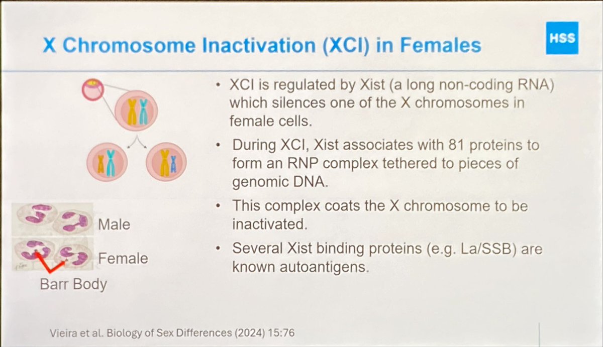 Tsuneyasu Yoshida M.D., Ph.D.🇯🇵→🇺🇸 tweet media
