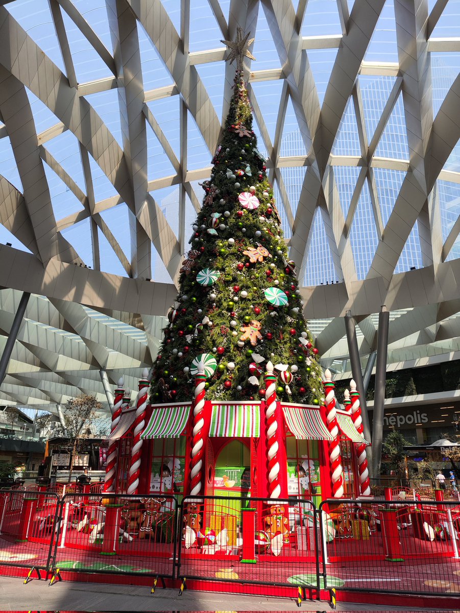 Wolf11210's tweet photo. 🌲🌲❄️ https://t.co/t0q8m1U9rp