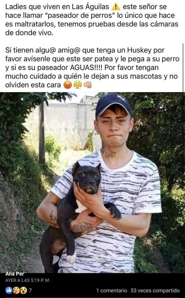 LAS AGUILAS ®️ tweet media