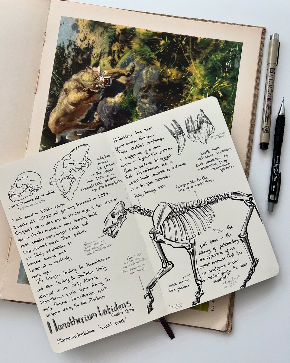 Grace Varnham tweet media