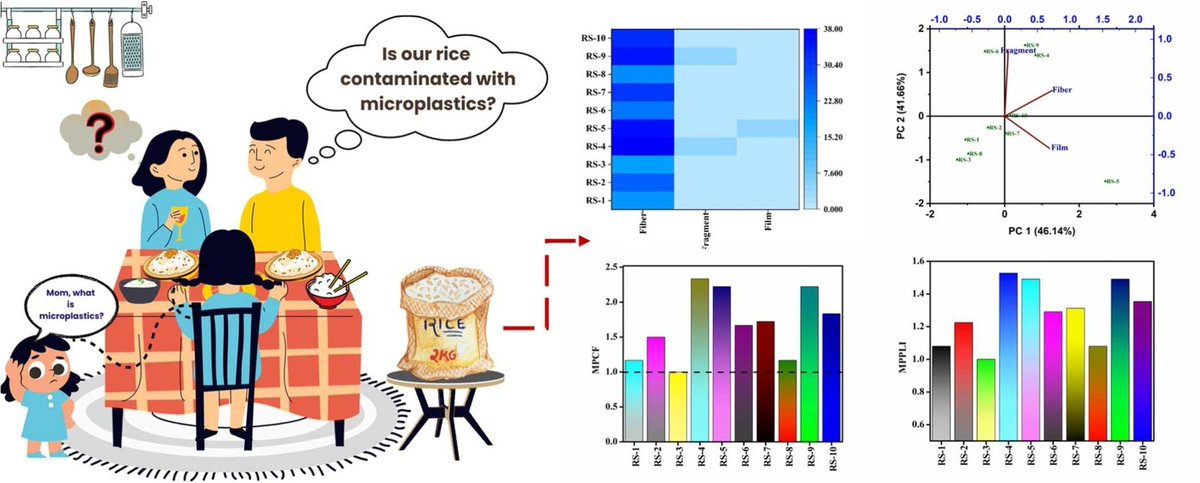 anilanachem's tweet photo. Our study in JHZM finds all Indian rice contaminated with microplastics!
Avg MPs: 30.3 ± 8.61/100g
Types: PE, PET
Congrats @PinalBhavsar &amp; thanks to collaborators!
🔗 https://t.co/dNFVcvUpnN
@fssaiindia @ElsevierConnect @Microplastic
#Microplastics #FoodSafety #PlasticPollution https://t.co/ZqpdsRppQJ