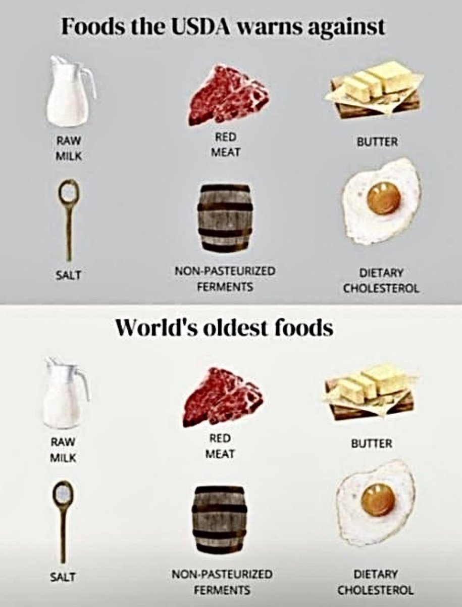 Stoic_Father's tweet image. We must go back

RFK is a good start