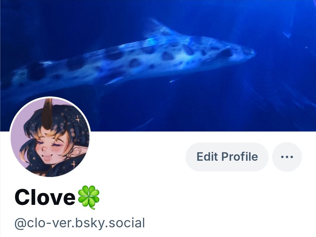 4leaf_clovrr's tweet photo. hi friends id appreciate it if u followed me on the funny app 🔵☁️ thank u https://t.co/JeXRYC8OFd