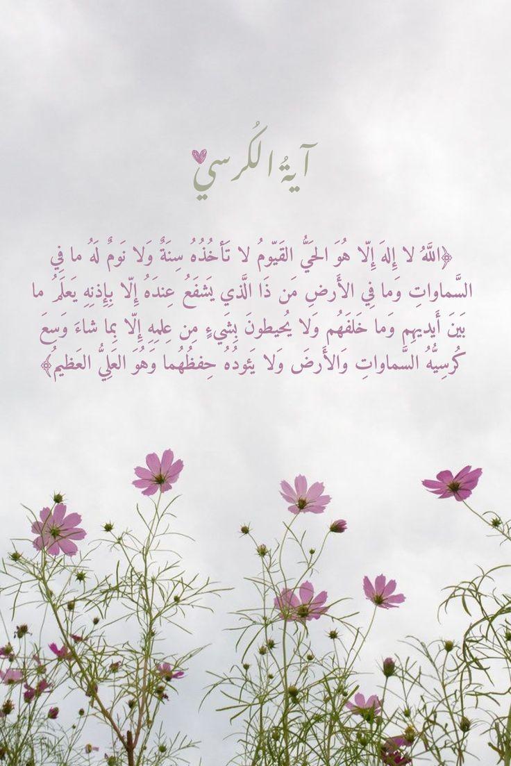 ربيع القلوب 🤍🤍🌷🌷