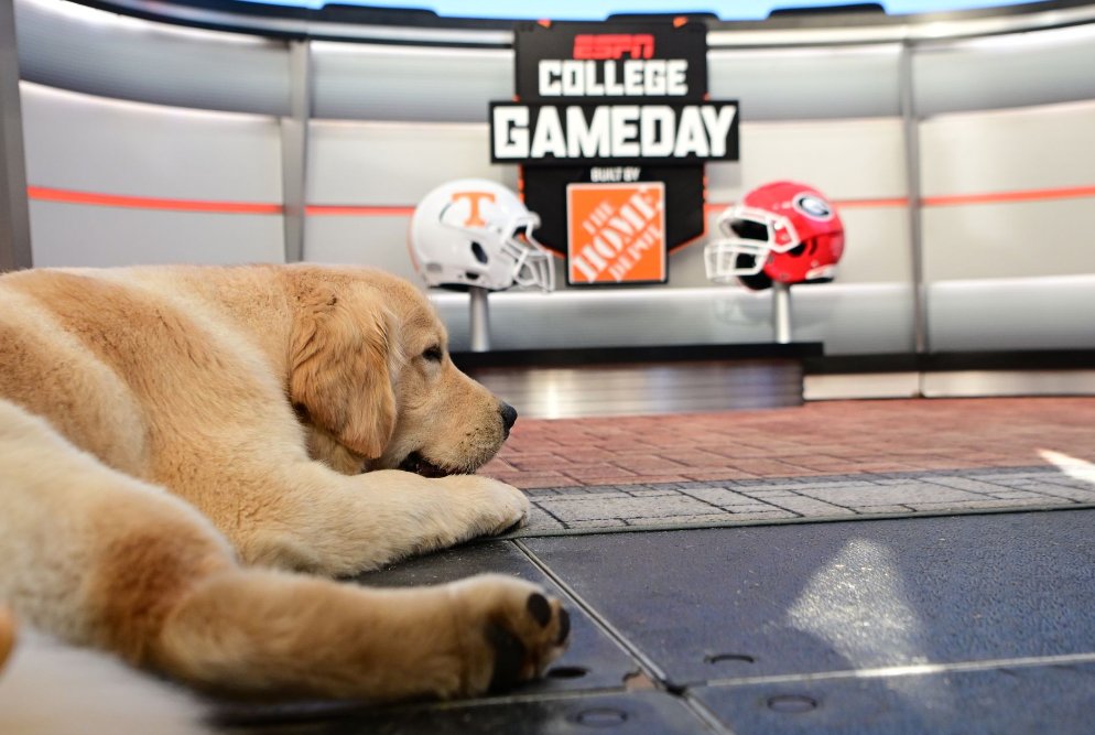 At the home of the Dawgs, Peter Herbstreit is making himself at home on the <a href="/CollegeGameDay/">College GameDay</a> set in Athens.🐶

📸 via <a href="/joshuagateley/">Joshua Gateley</a> | <a href="/ESPNImages/">ESPN Images</a>