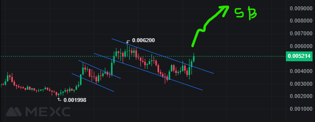 Soblin07's tweet photo. $DOG GO TO THE MOON!!!!!!!!!!!!!!!

Congratulations DIAMOND HANDS.

Repost if you’re bullish on $DOG . https://t.co/DCBjahQNAP