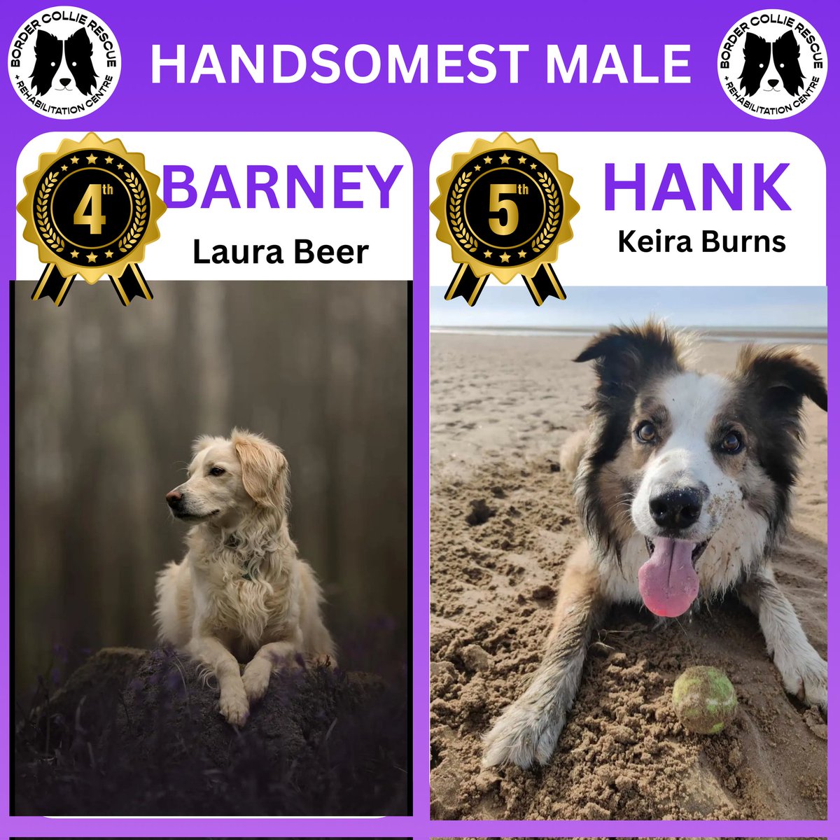 🏆𝗙𝗨𝗡 𝗢𝗡𝗟𝗜𝗡𝗘 𝗣𝗘𝗧 𝗣𝗛𝗢𝗧𝗢 𝗦𝗛𝗢𝗪 𝗖𝗢𝗠𝗣𝗘𝗧𝗜𝗧𝗜𝗢𝗡

The results are in for the final of our 6 classes.....

🐾 𝗛𝗔𝗡𝗗𝗦𝗢𝗠𝗘𝗦𝗧 𝗠𝗔𝗟𝗘 🐾

Thank you so much to kind gentleman that is <a href="/adilray/">Adil Ray OBE</a> OBE for picking all 5 places 😁