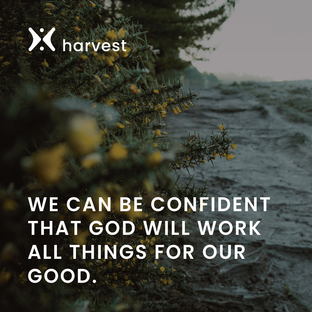 The amazing truth is that God, who does possess absolute power, uses His power to accomplish genuinely good things in the lives of His people. God’s sovereignty can’t be separated from His love...

Read today's devotion at: hubs.la/Q02Y5D2p0