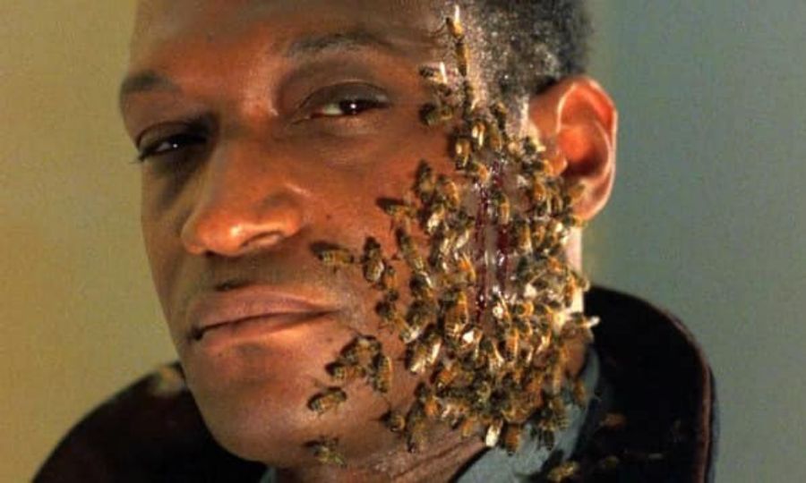 halifaxbloggers's tweet photo. Jesse Hiltz on Tony Todd's Magnificent Voice. Because only he could do it in that way:

https://t.co/EON52v4kBt

#commentary #horror #movies #tonytodd @jessephiltz https://t.co/n6SxYfAkZ8