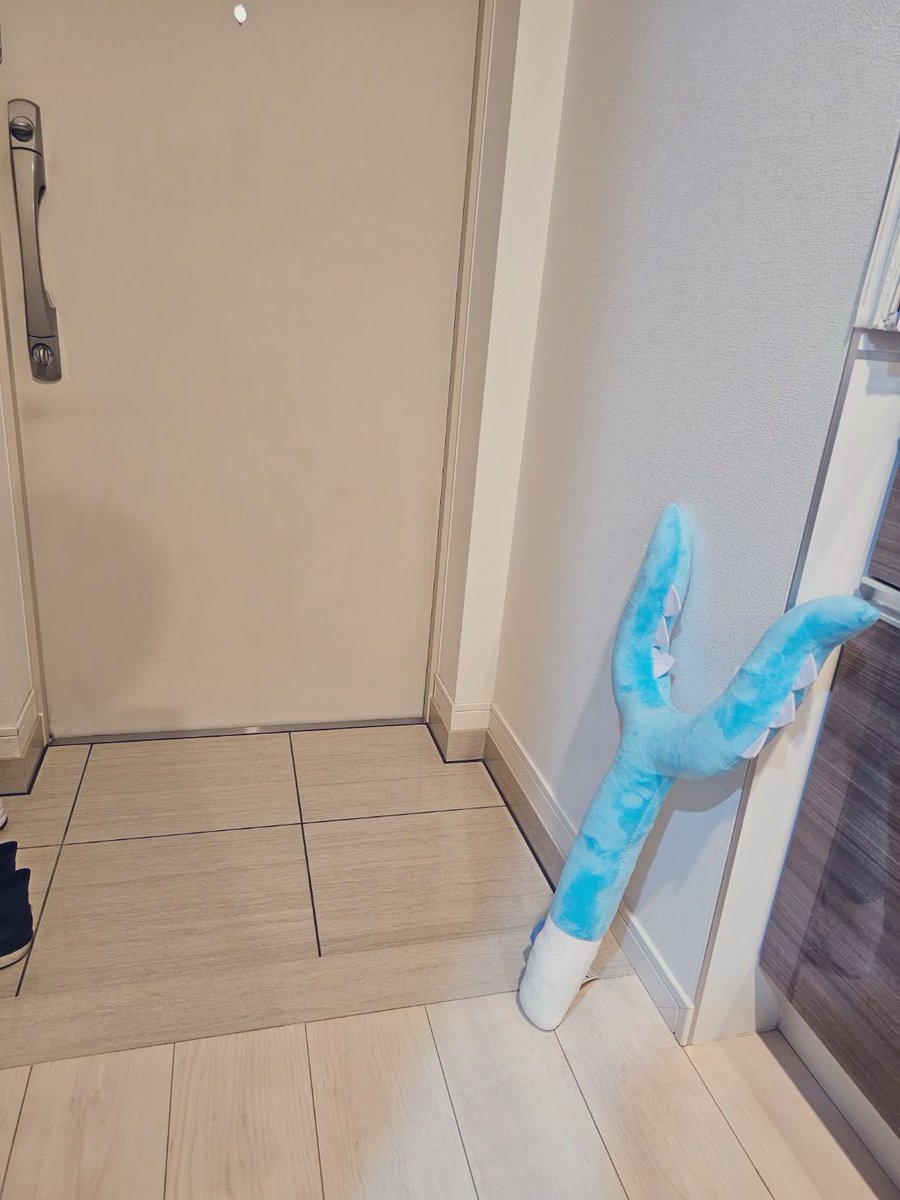 もちこ (@2CcpoRPrUzfurIh) / Posts / X