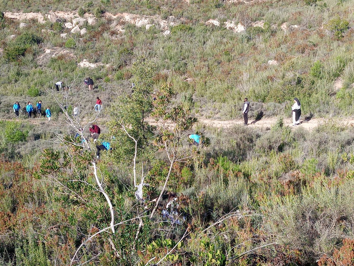 GrupoSylvestris's tweet image. 👏🏻 Magnífica la jornada de voluntariado en El Bruc

🌳Como siempre, un placer el haber disfrutado esta mañana junto a los voluntarios de 
CaixabankPaiment&amp;amp;Consumer

#SembramosO2  #CompensamosCO2