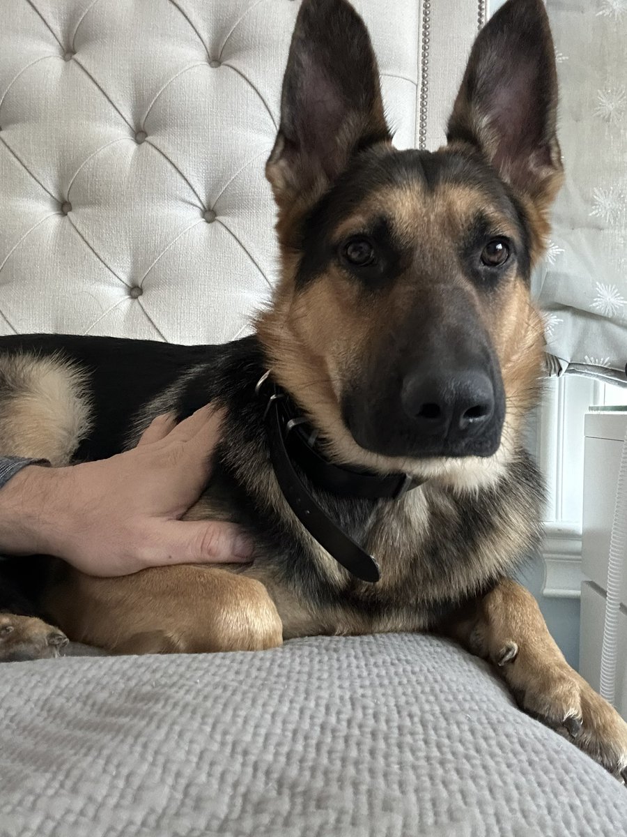 Geoff Schwartz tweet media