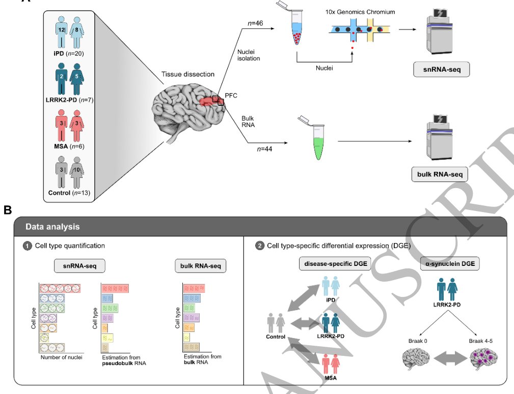 The Science of Parkinson's tweet media