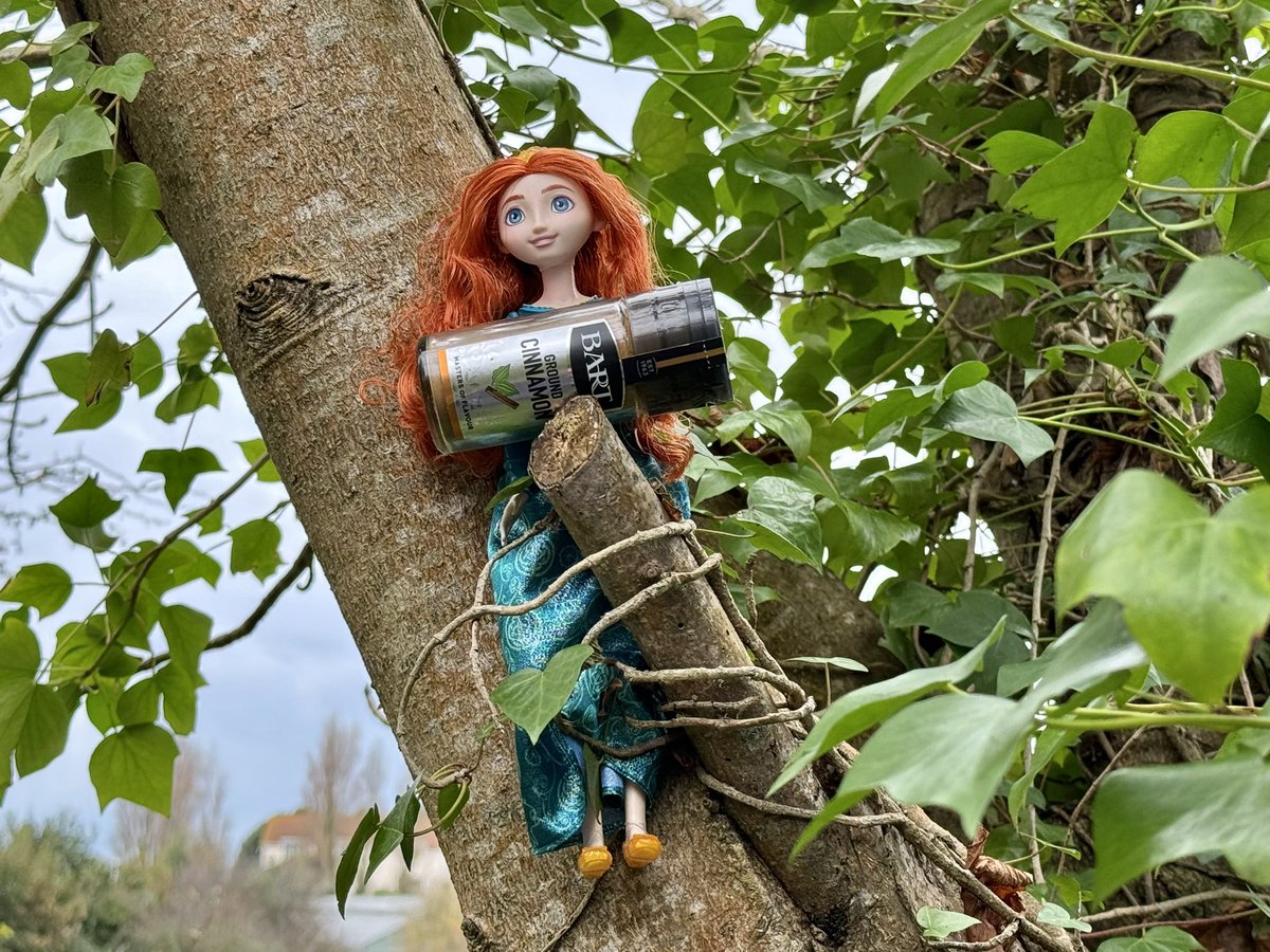 TheSimians's tweet image. New Christmas video in progress! #cinammonlady #thesimians #holly