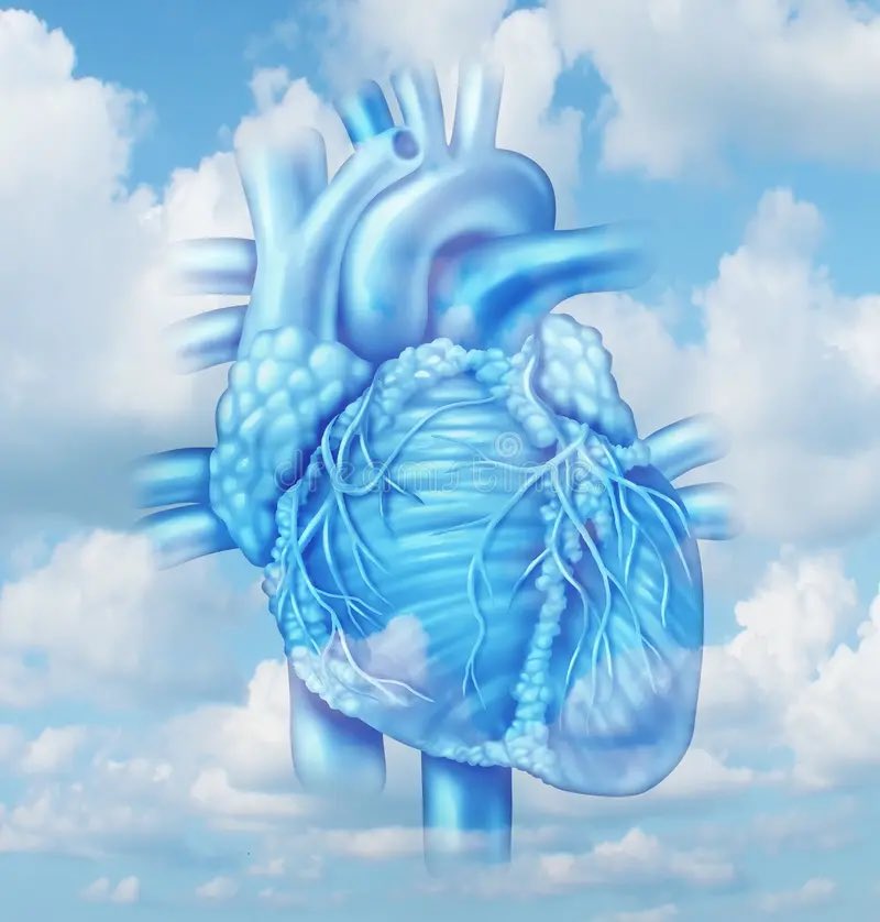 Joshua Thornsberry (@thornsberryjd) on Twitter photo 🚨 Tag your people in the comments
Transitioning to bluer skies. Come find <a href="/thornsberryjd/">Joshua Thornsberry</a> (same username) and join the #CardioParty.
<a href="/jae_patton/">Jae Patton, CRNP, AACC</a> <a href="/VietHeartPA/">Viet Le DMSc PA-C FACC FAHA HF-Cert</a> @heartnpben <a href="/Fortman312/">Kyle Fortman</a> <a href="/baileyannRN/">Bailey Ann Estes</a> <a href="/DPtheNP/">Derek Pineda</a> <a href="/Andrea_Price317/">Andrea Price, RCIS, CPHQ, AACC</a> <a href="/jonathandavidrn/">jonathandavidrn</a> <a href="/johnplinds/">John Lindsley</a> <a href="/MidgeNP/">Midge B DNP, FAANP, FAAN</a>
#ACCCVT #NPsLead 🚨 Tag your people in the comments
Transitioning to bluer skies. Come find <a href="/thornsberryjd/">Joshua Thornsberry</a> (same username) and join the #CardioParty.
<a href="/jae_patton/">Jae Patton, CRNP, AACC</a> <a href="/VietHeartPA/">Viet Le DMSc PA-C FACC FAHA HF-Cert</a> @heartnpben <a href="/Fortman312/">Kyle Fortman</a> <a href="/baileyannRN/">Bailey Ann Estes</a> <a href="/DPtheNP/">Derek Pineda</a> <a href="/Andrea_Price317/">Andrea Price, RCIS, CPHQ, AACC</a> <a href="/jonathandavidrn/">jonathandavidrn</a> <a href="/johnplinds/">John Lindsley</a> <a href="/MidgeNP/">Midge B DNP, FAANP, FAAN</a>
#ACCCVT #NPsLead