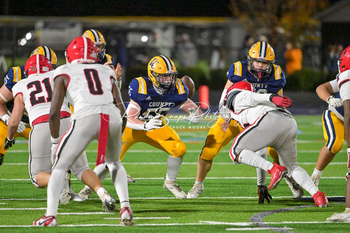 Random Snaps Photography tweet media