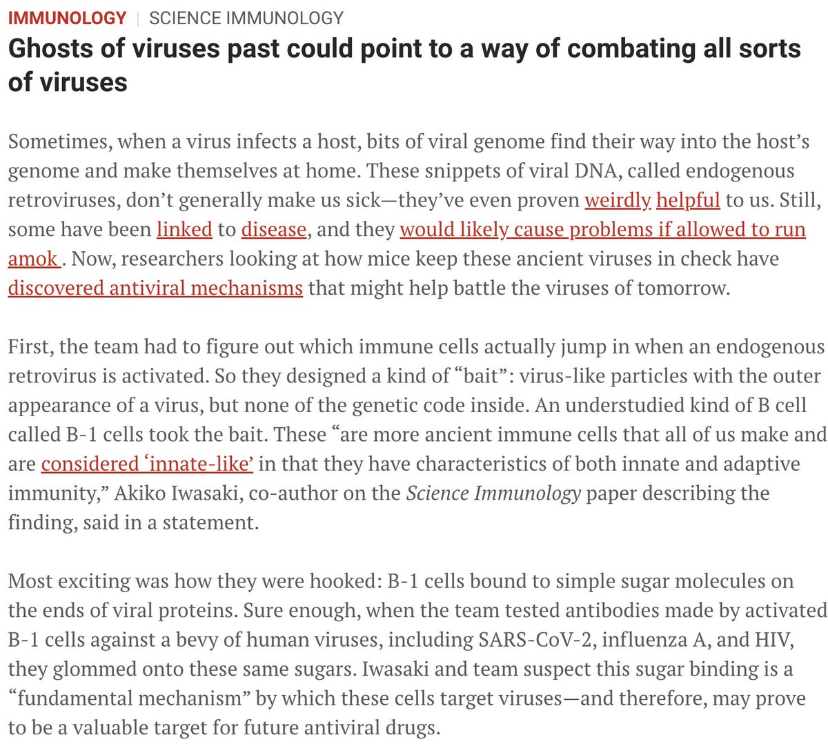 Prof. Akiko Iwasaki (@virusesimmunity) on Twitter photo A great highlight of our recent work by <a href="/YYexin/">Yexin Yang</a> et al in the <a href="/ScienceMagazine/">Science Magazine</a> newsletter, written by <a href="/NerdyChristie/">Christie Wilcox</a>, "Ghosts of viruses past could point to a way of combating all sorts of viruses" ๐ป
Link to our original paper here
science.org/doi/10.1126/scโฆ
Newsletter here A great highlight of our recent work by <a href="/YYexin/">Yexin Yang</a> et al in the <a href="/ScienceMagazine/">Science Magazine</a> newsletter, written by <a href="/NerdyChristie/">Christie Wilcox</a>, "Ghosts of viruses past could point to a way of combating all sorts of viruses" ๐ป
Link to our original paper here
science.org/doi/10.1126/scโฆ
Newsletter here