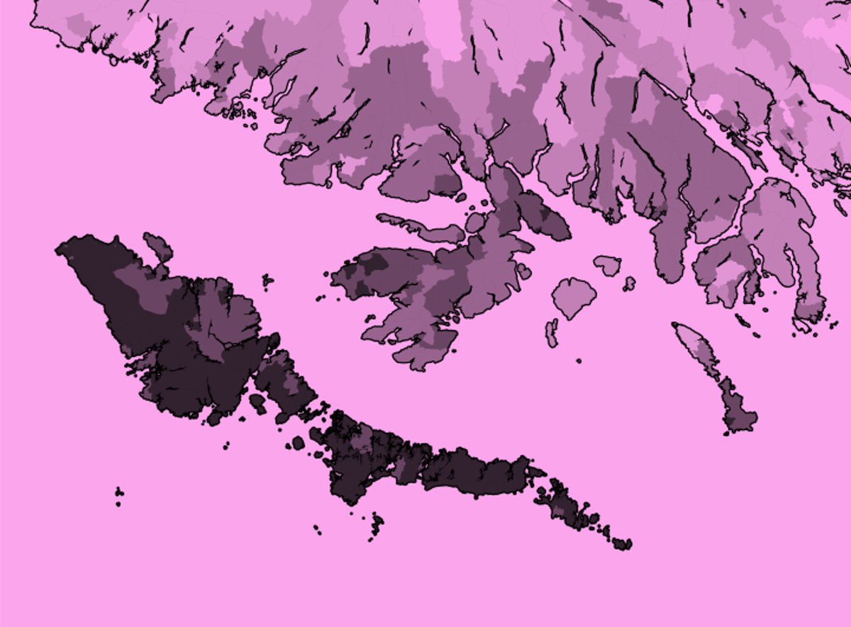 Tòmas MacAilpein 🇵🇸 tweet media