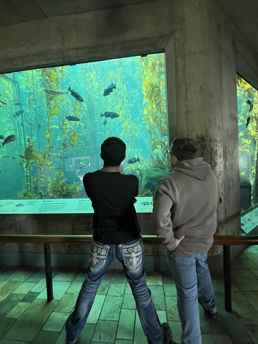 It’s been a busy November already with Alt. Ed. learners in the Oceanography module heading to <a href="/MontereyAq/">Monterey Bay Aquarium</a> for a day of deep science learning and application! <a href="/LindsayUnified/">Lindsay Unified School District</a>
