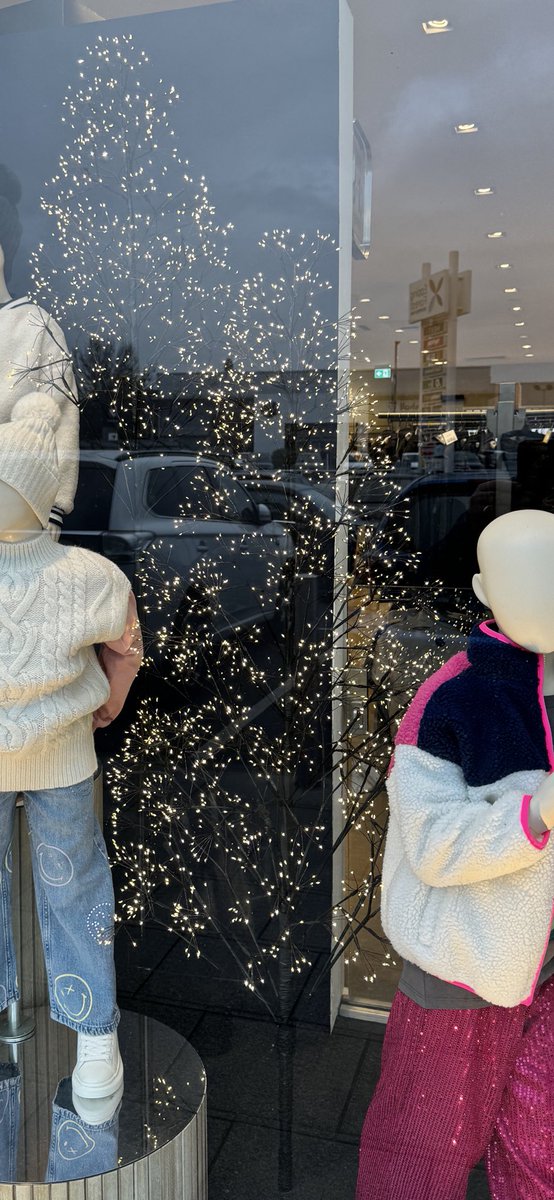 Jase_OT's tweet photo. @nextofficial @nextofficial Do you sell or can you please advise where to buy the LED Christmas trees that you are using in your window displays? https://t.co/ZgcmNx6oCc