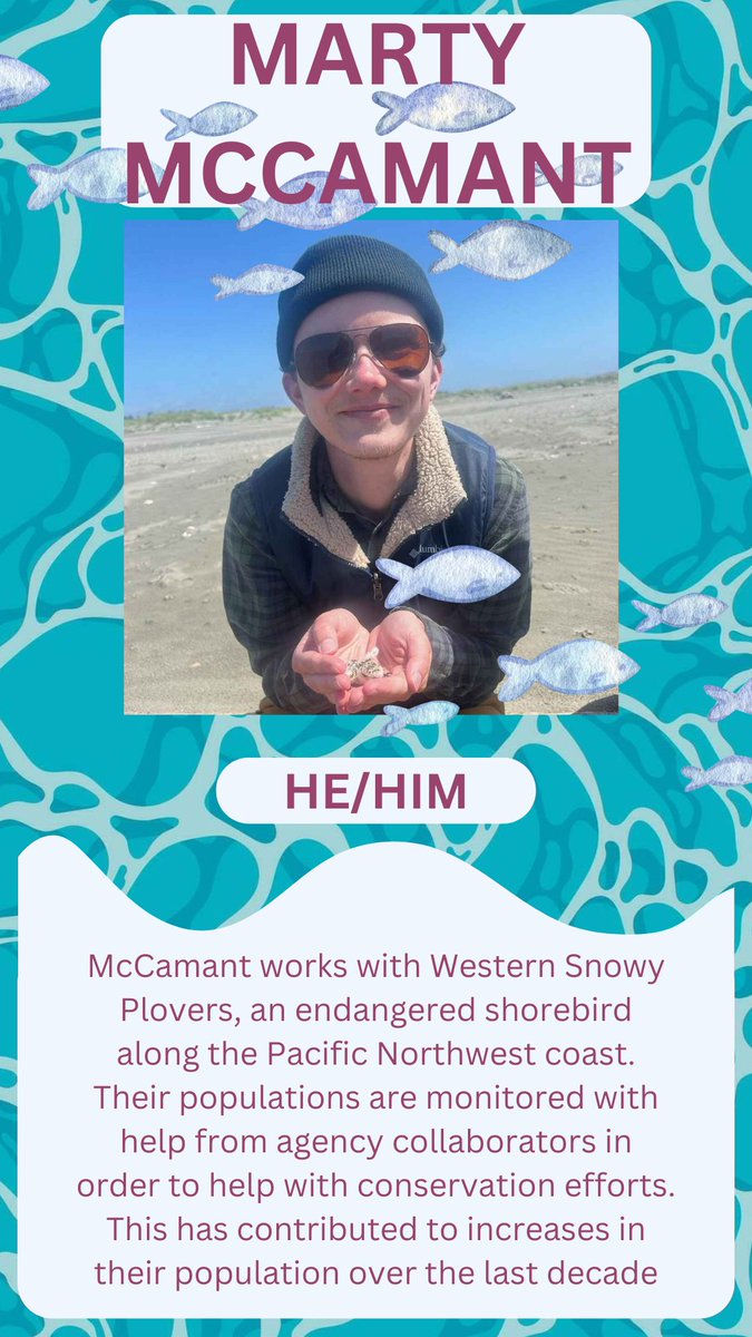 Third trans marine scientist feature is Marty McCamant! McCamant works with Western Snowy Plovers, monitoring their habitat along the Pacific Northwest coastline. His work contributes to conservation efforts of this endangered species. Follow him on Instagram at martyyryan!