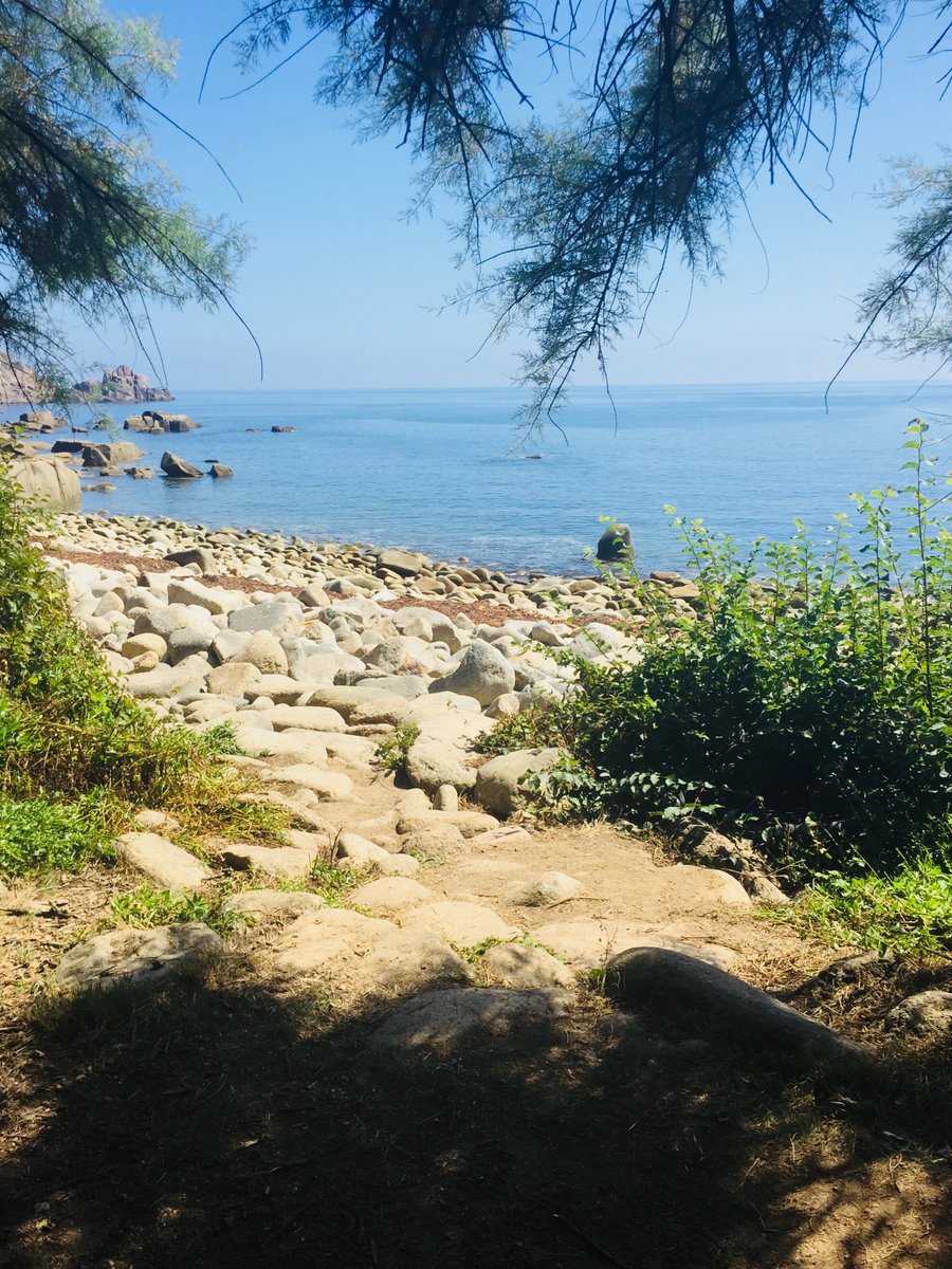 Abdel 🐝 🦋🦊 🐾 tweet media