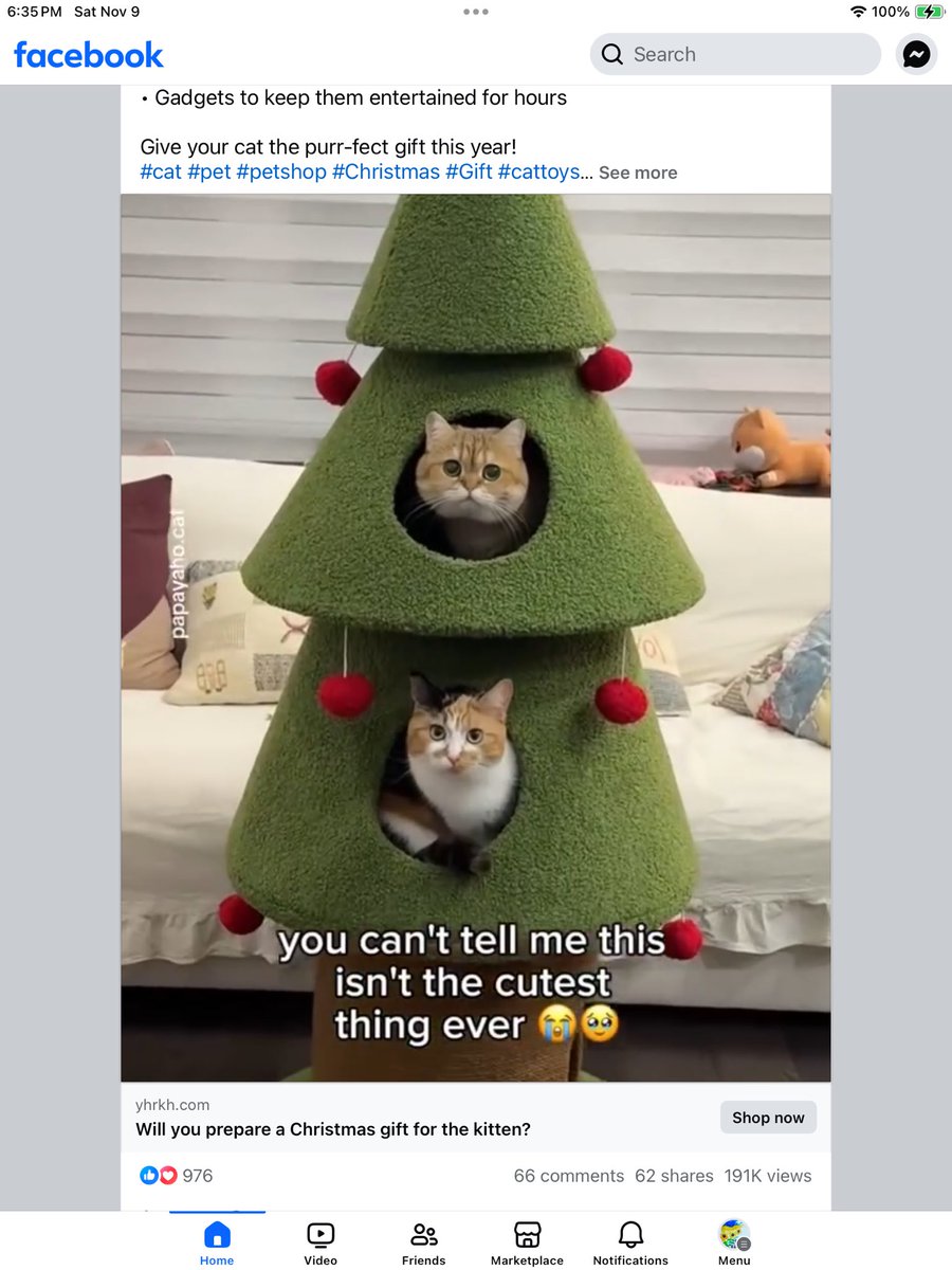 🇨🇦✨💋 If You Can Be Anything, Be Kind 💋✨🇨🇦 tweet media