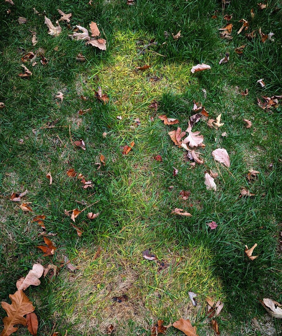 RVoodoo's tweet photo. Oops. But that's a sweet dead grass plot! #cross #Halloween #grass https://t.co/Qm4JBBqCXL https://t.co/Zw6GIjlKmd
