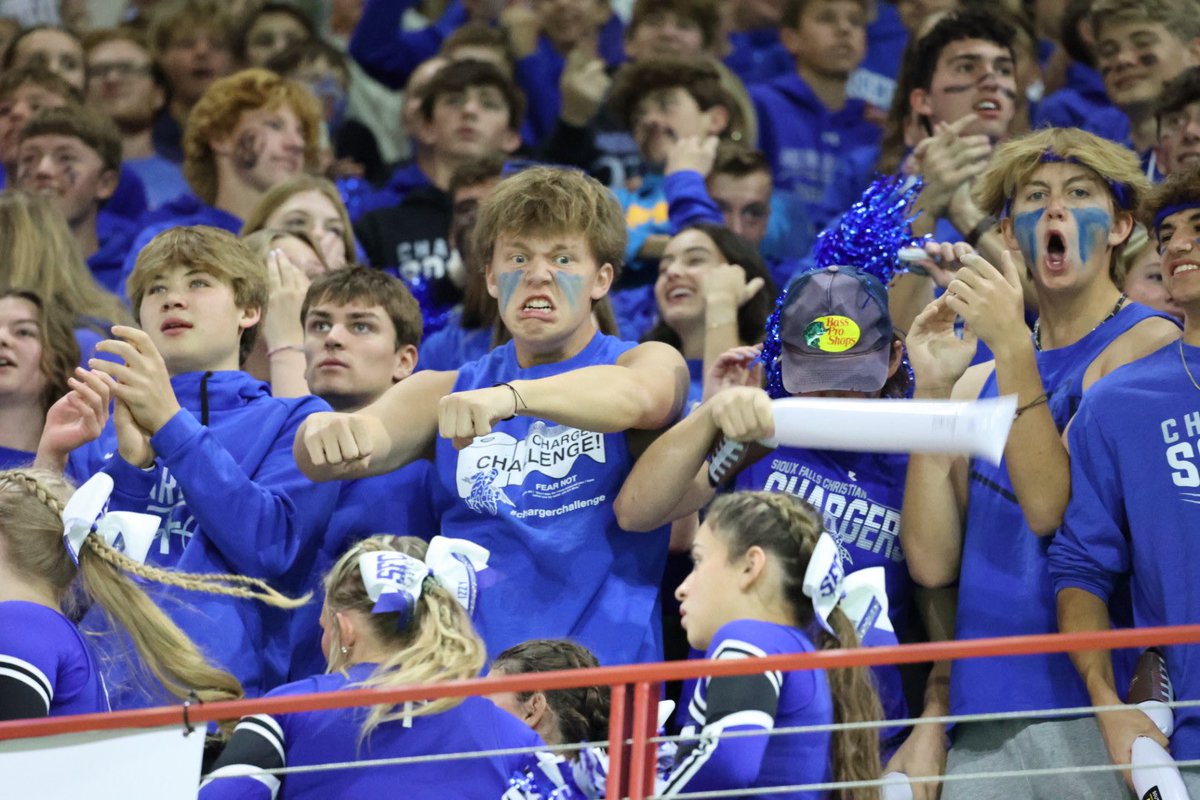 SFC Activities tweet media