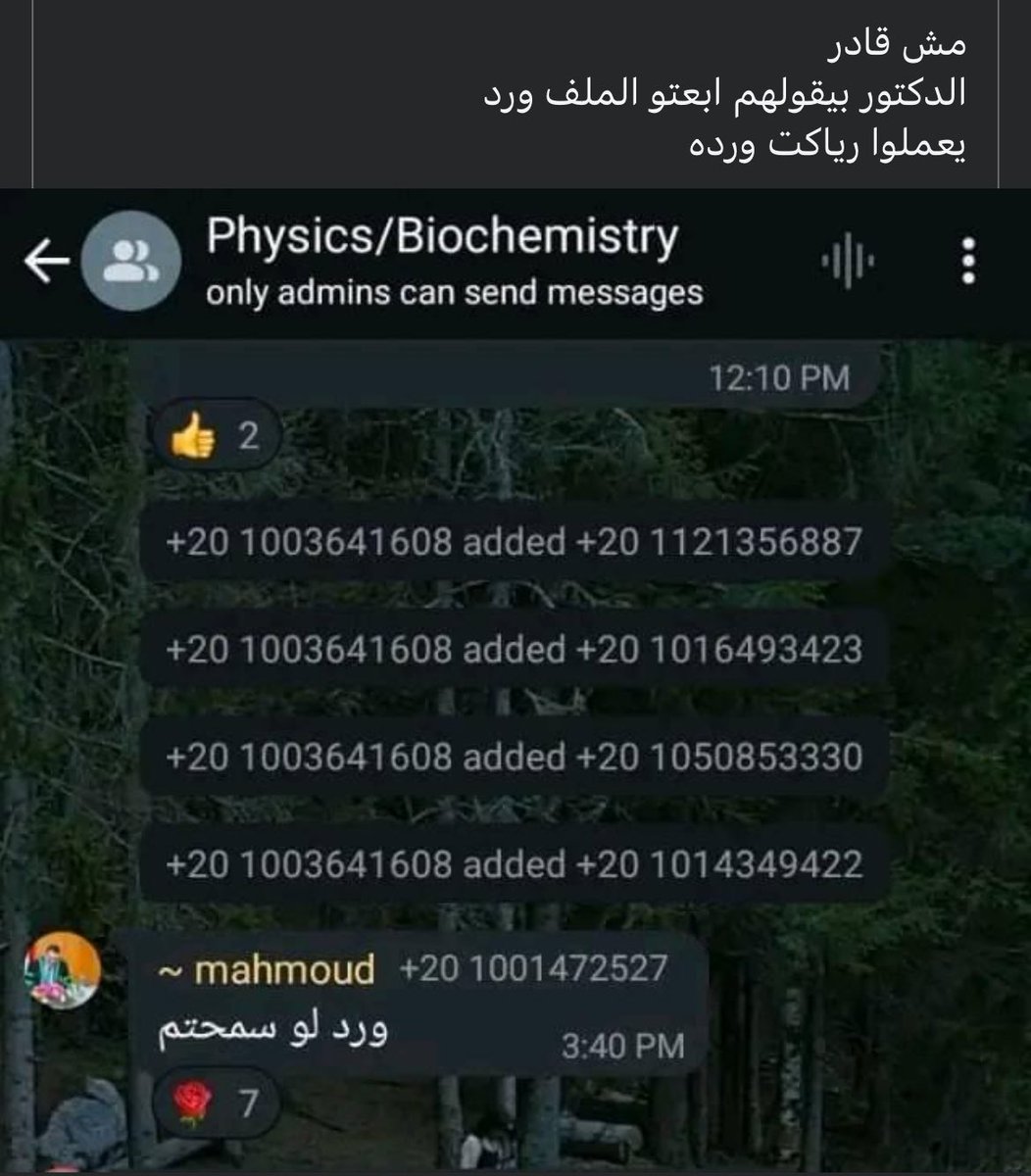 thegoodnursee's tweet image. مش منجحكم خاالص الا لما تبعتولي اسد