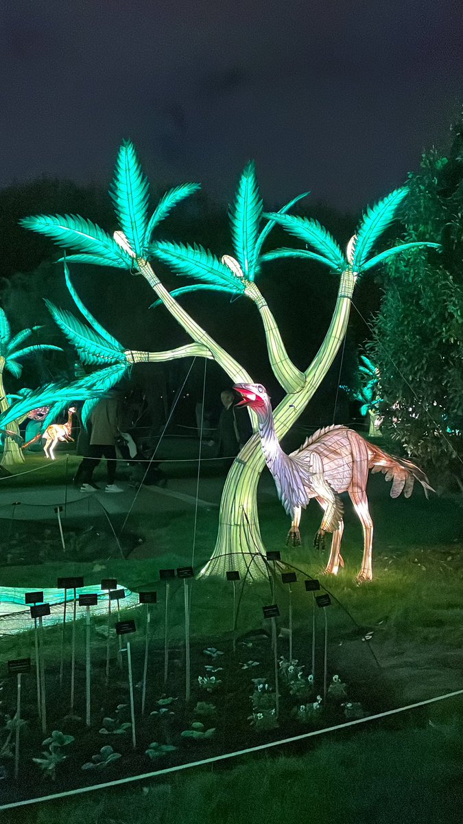 Marie-Beatrice FOREL, Ph.D., Hab. tweet media