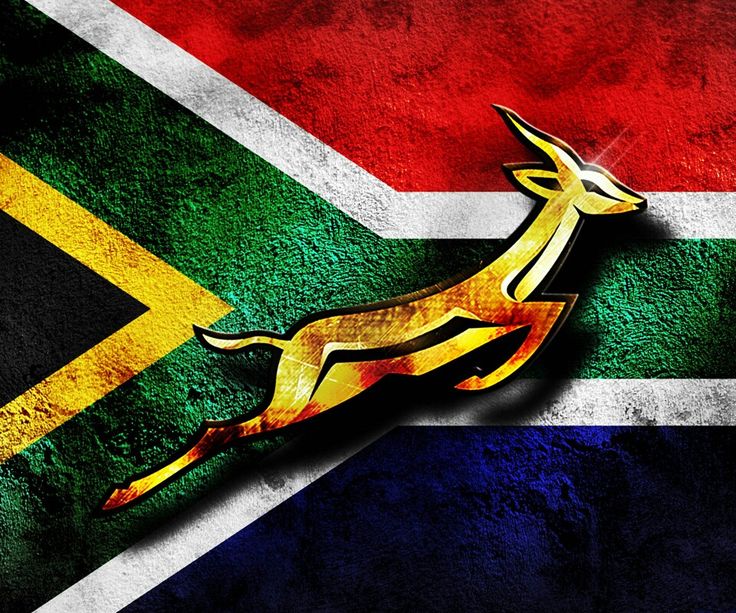 TracyFromSA's tweet image. 💛💚 GO BOKKE!!! 💚💛 

This game though.. my blood pressure did not appreciate it! 🇿🇦

#Springbok #Rugby #ENGvsRSA