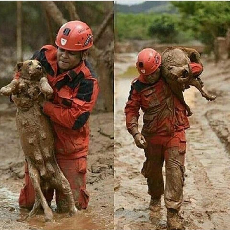 Thank you for saving this dog..🙏❤