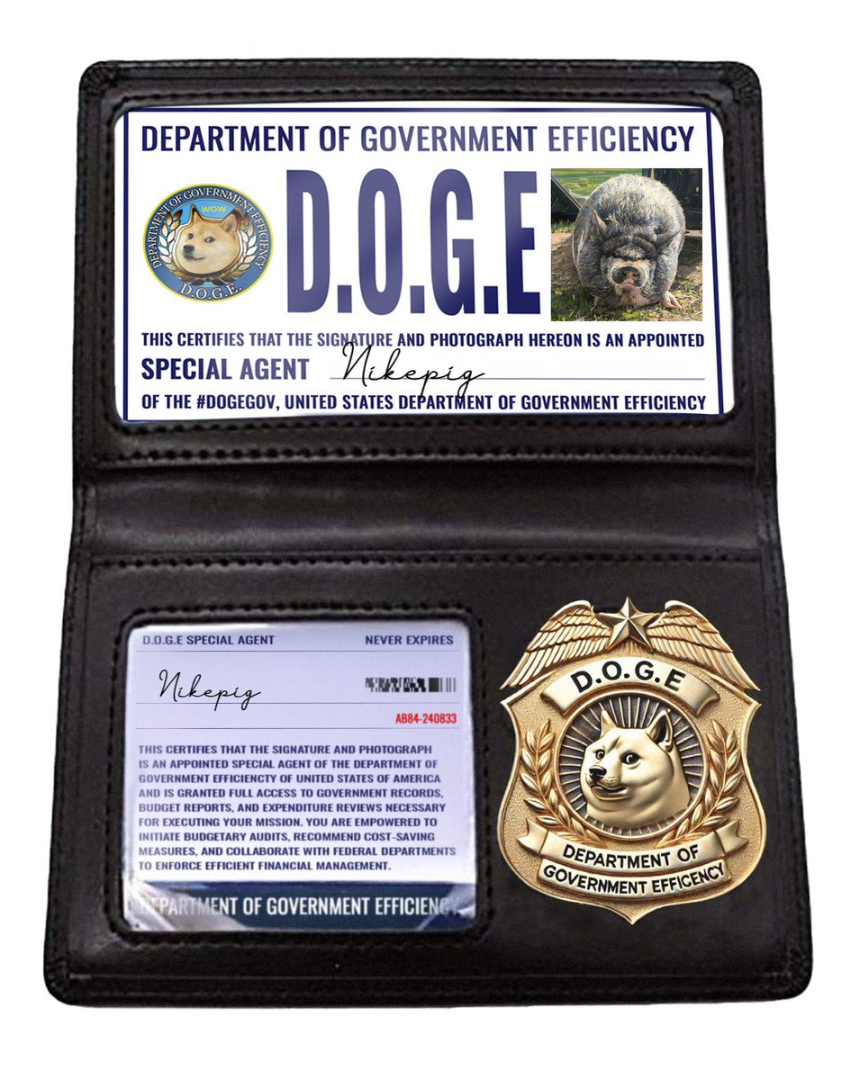 NikePigNFT's tweet photo. 🚨BREAKING NEWS🚨
$NIKEpig officially become an agent of D.O.G.E. @doge_eth_gov . More details soon
$nike #nikepig #DOGEagent #DOGEgov https://t.co/2DhKwWxIrM