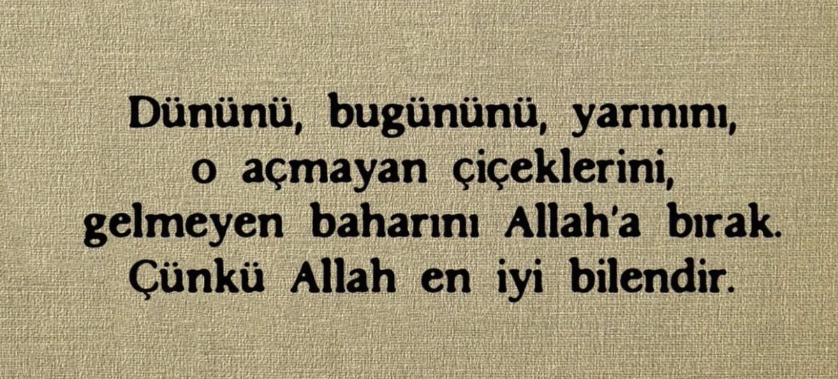 Monna Rosa (@ayaserenat) on Twitter photo 