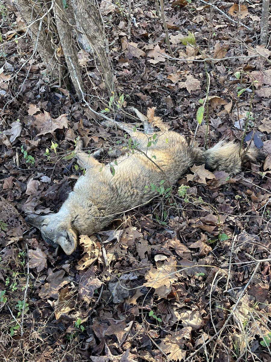 Busted her 👌🏼👌🏼👌🏼😁😁😁😁