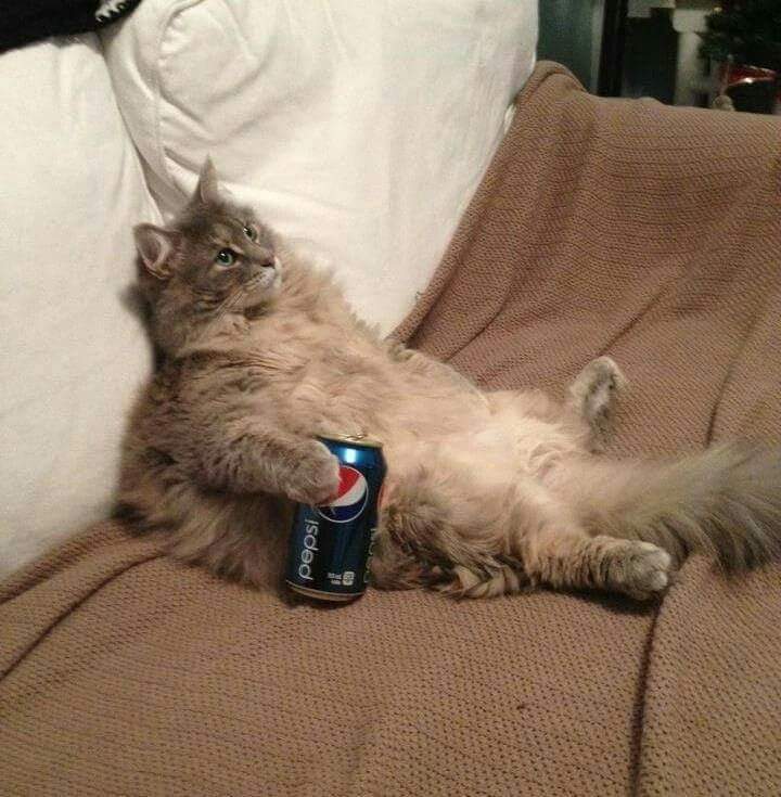 Vous aussi maintenant vous mesurez la chance que vous avez eu de manger des patates sautées quand vous étiez enfants ???

Mais qui a la force d'éplucher et couper des patates quand on peut faire des pâtes ou du riz ?????????