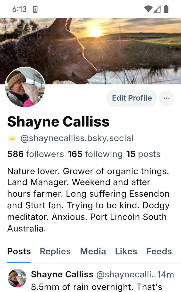 Shayne Calliss tweet media