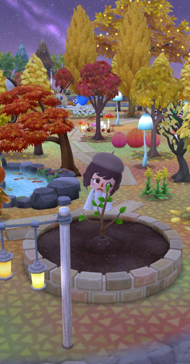 ac_glitter's tweet photo. Le début d'un nouveau chapitre, tellement hâte que sorte acpc complet ☺️
#AnimalCrossing
#acpccommunity
#ポケ森 #ポケ森レイアウト
#どうぶつの森ポケットキャンプ
#AnimalCrossingPocketCamp
#acpc #ポケ森ニンドリ
#ポケ森写真部
#ACPCgallery https://t.co/nqF2jq30tG