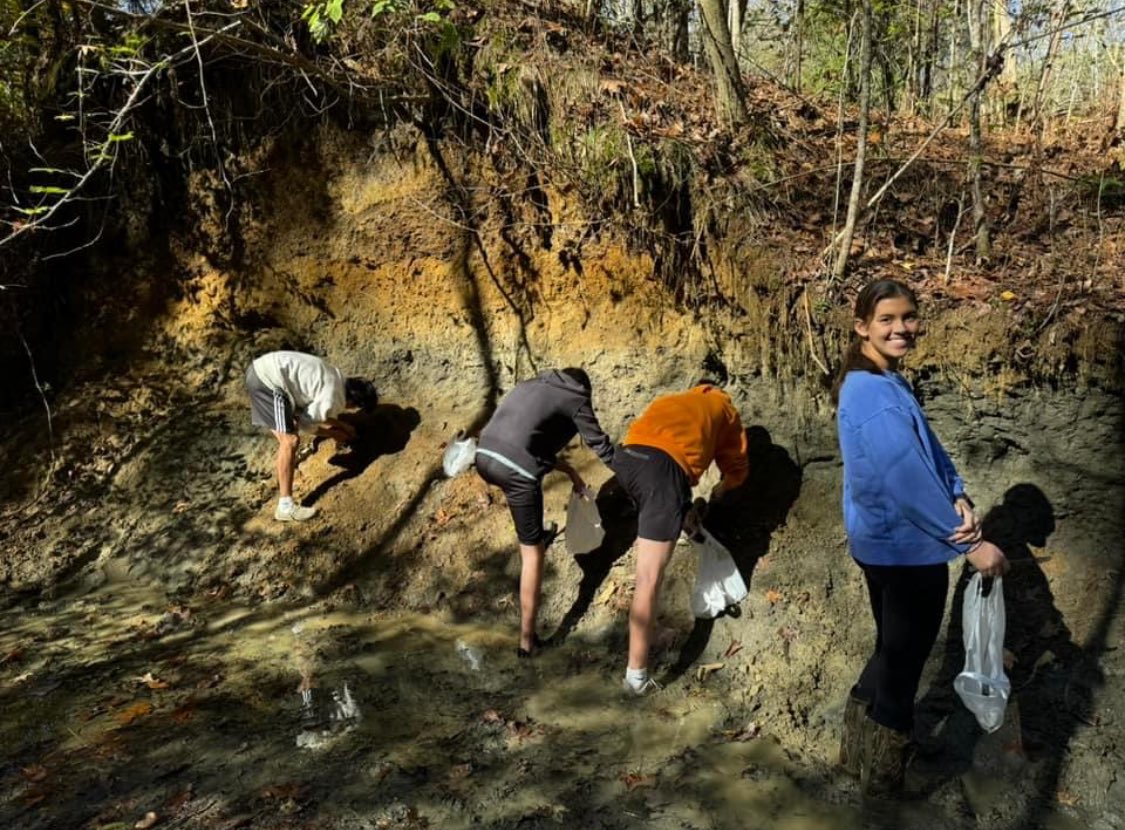 UT Martin Coon Creek Science Center tweet media